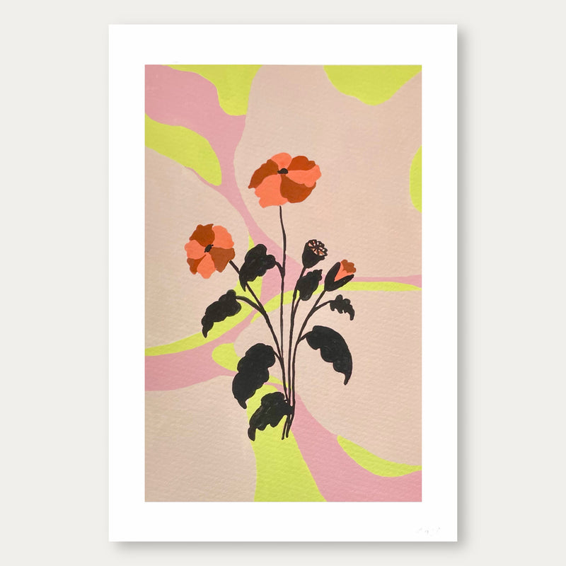 Poppy