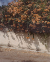Peak through the Kitchen, Ramat Gan.