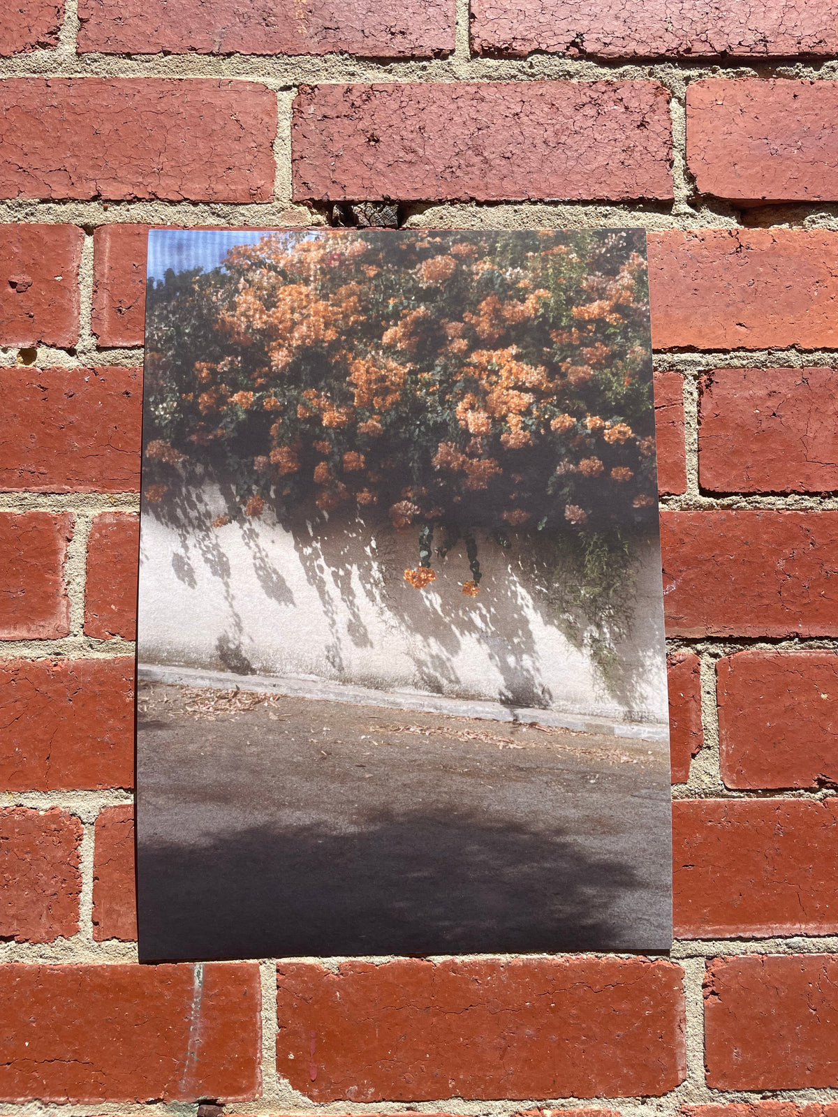 Peak through the Kitchen, Ramat Gan.