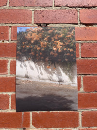 Peak through the Kitchen, Ramat Gan.