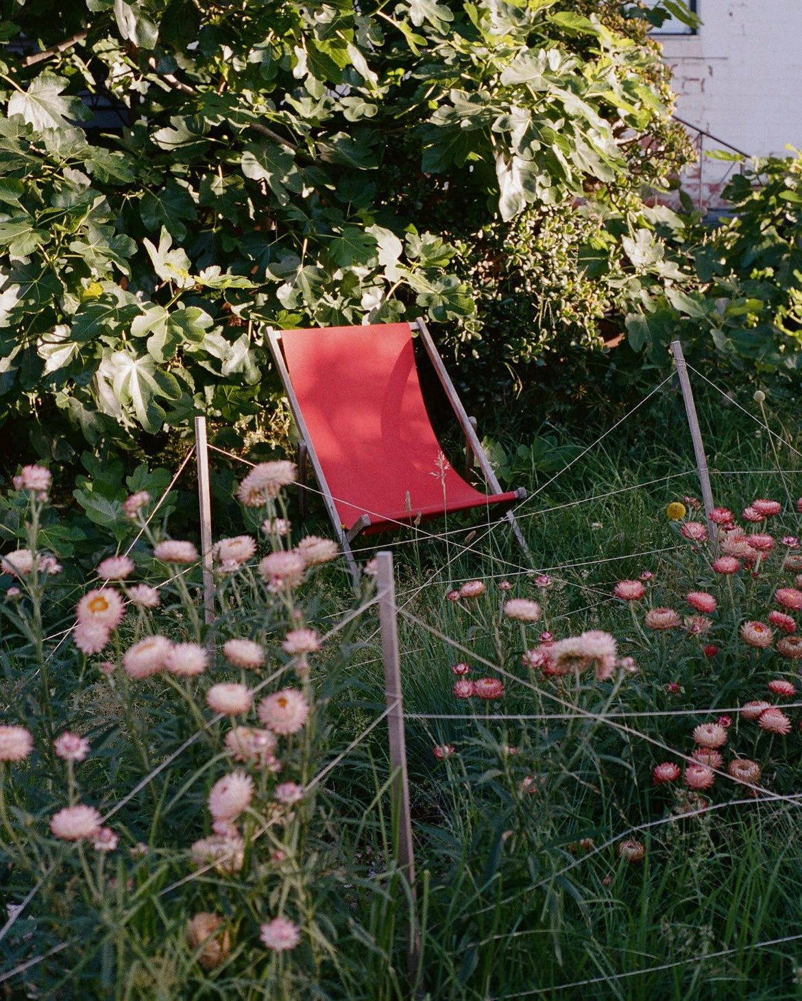 The Mediterranean, 2