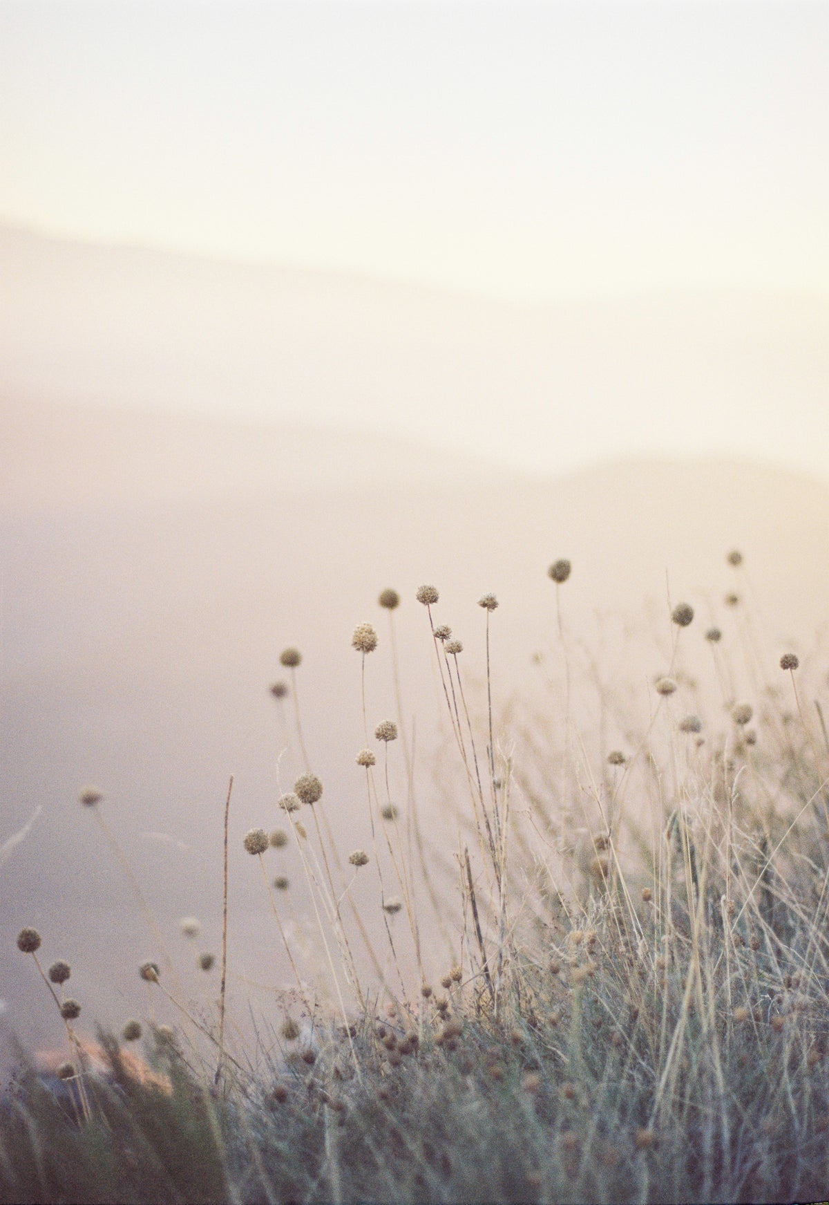 Abruzzo in the Sky, 1.