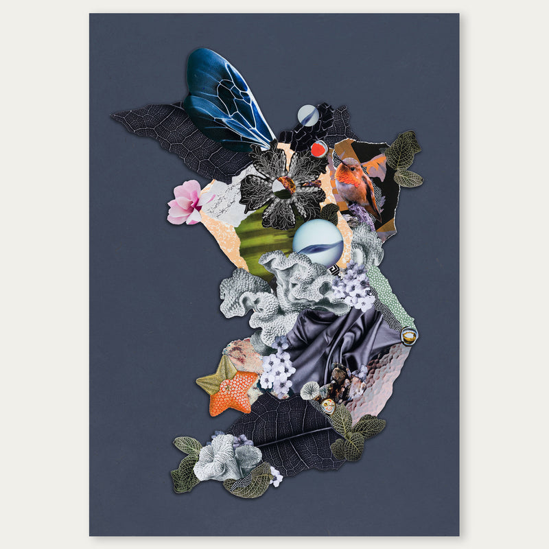 Floating Microcosmos - Aegean Colour