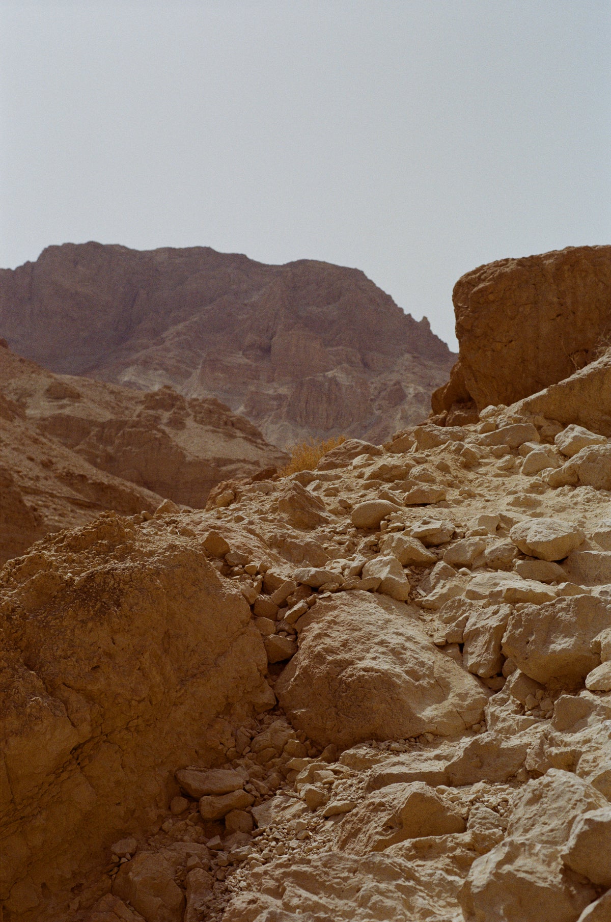 Moonscape, Ein Gedi (Portrait).