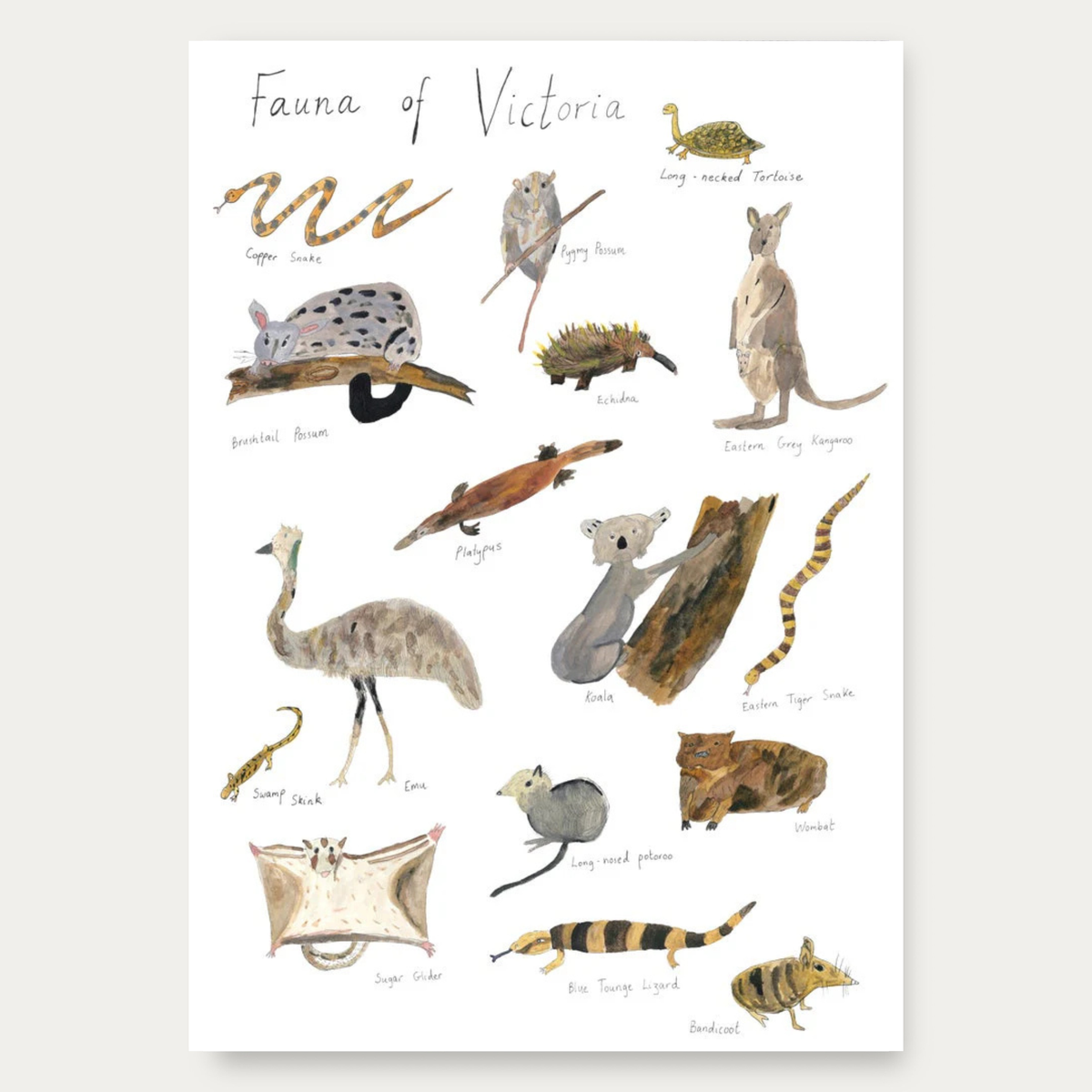 Fauna of Victoria