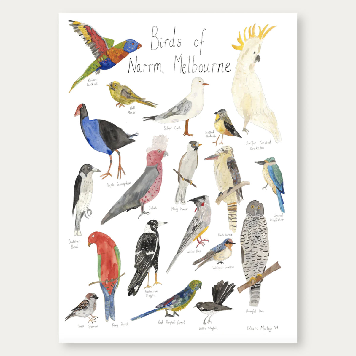 Birds of Narrm, Melbourne