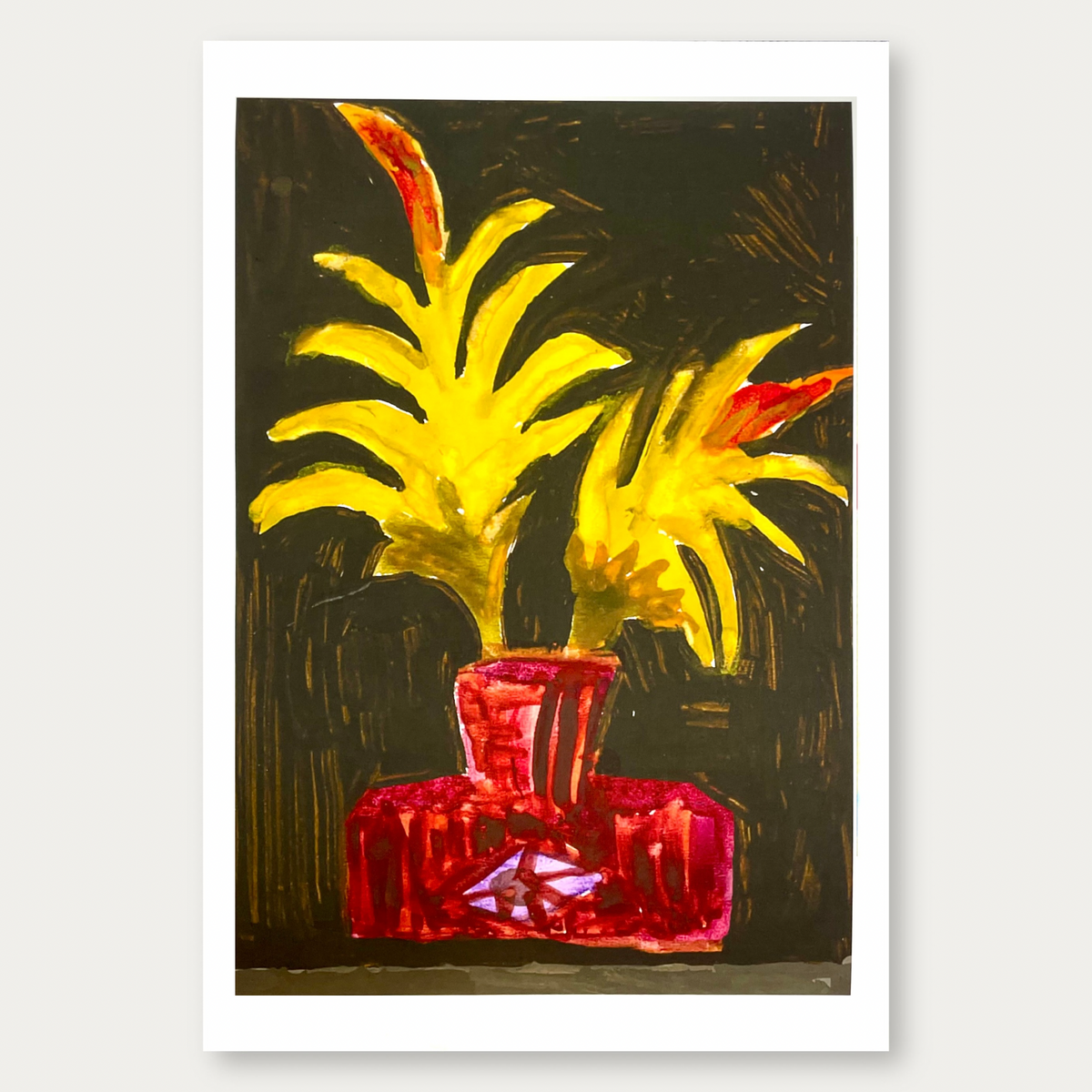 Bromeliad