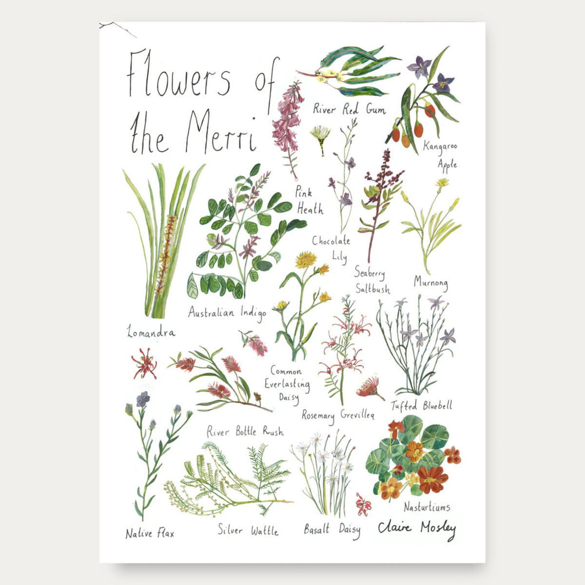 Flowers of the Merri