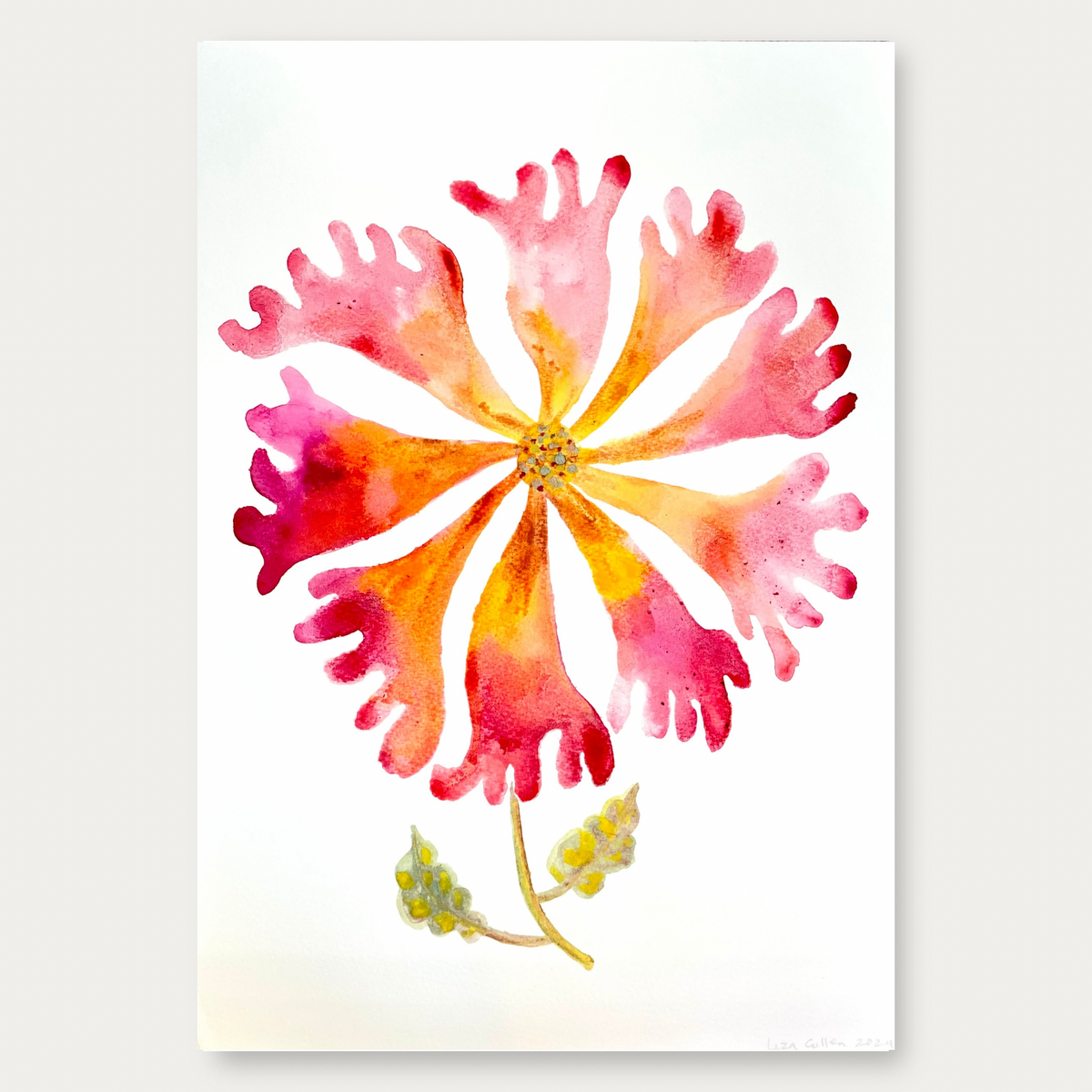 Wildflower Pink