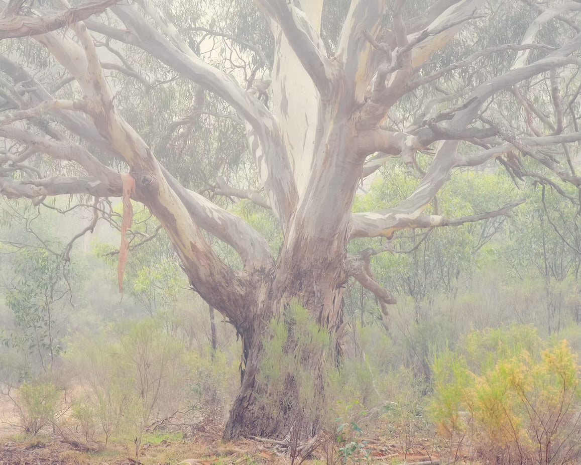 Bannockburn, Victoria