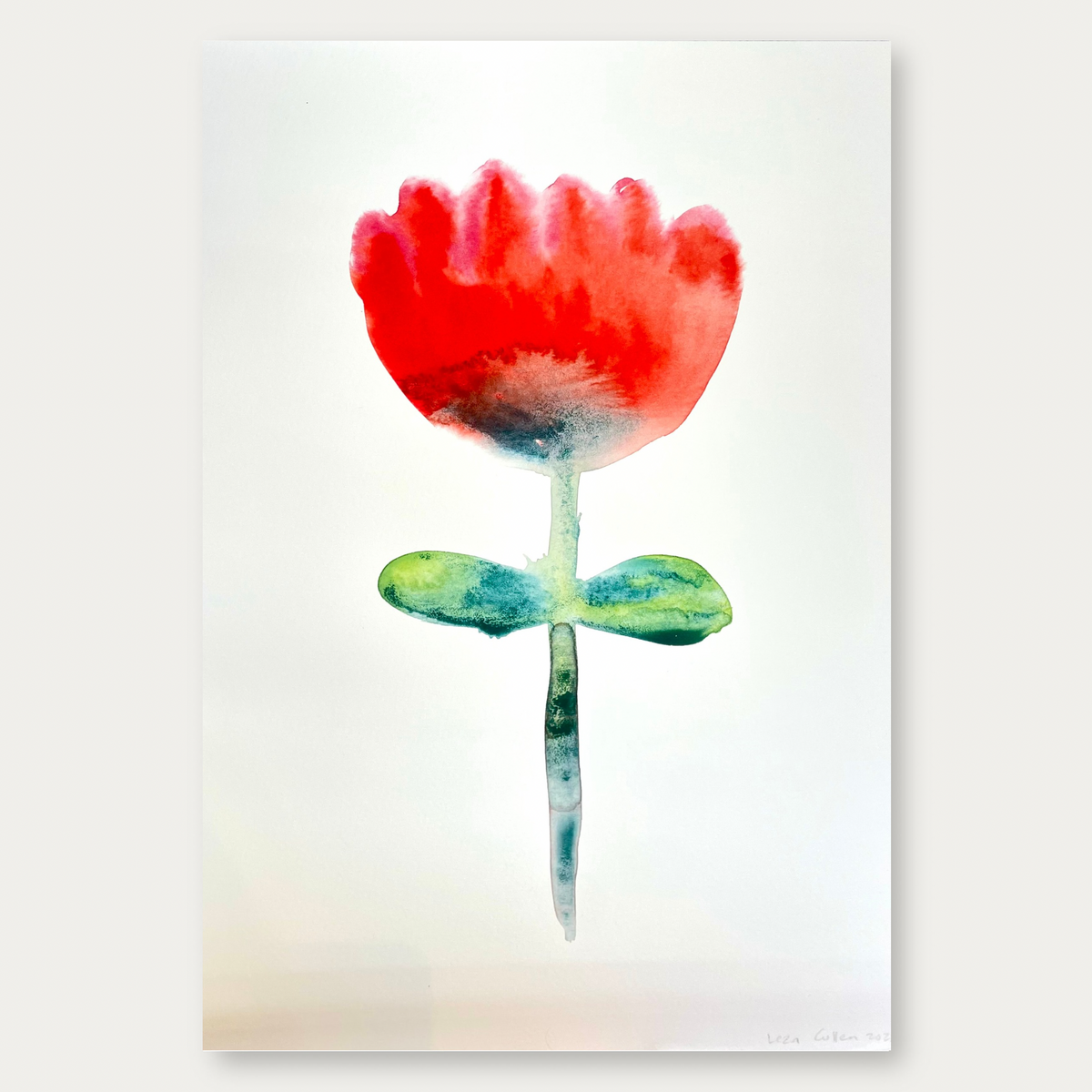 Carnation Red