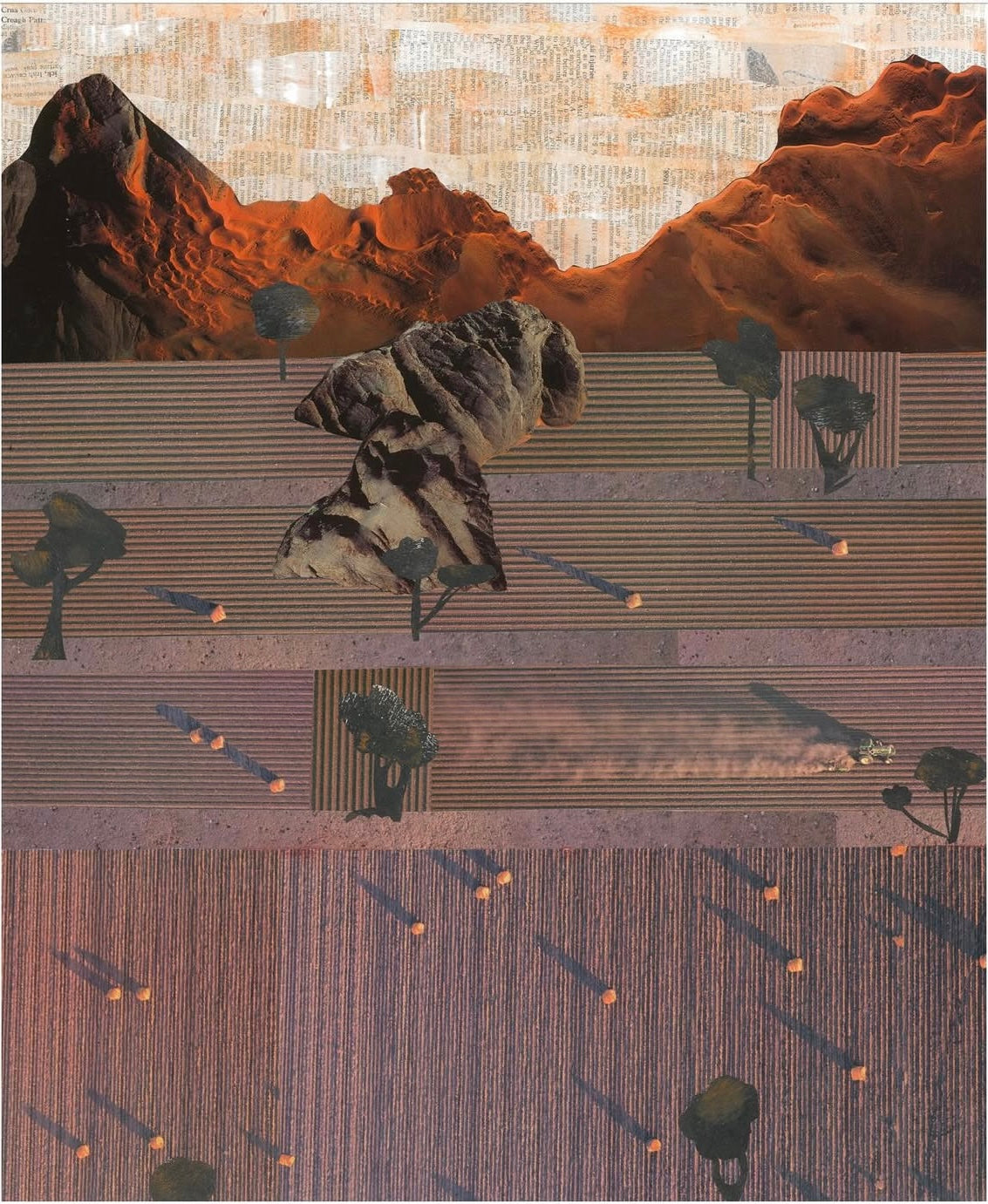 Fields of Shadows