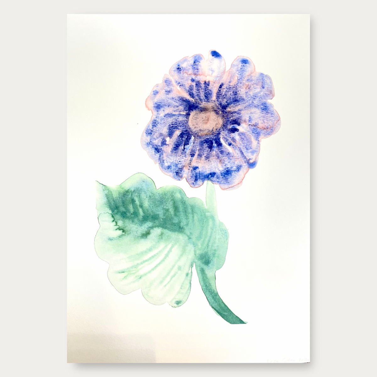 Dahlia Mauve