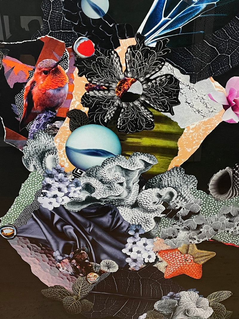 Elemental Garden