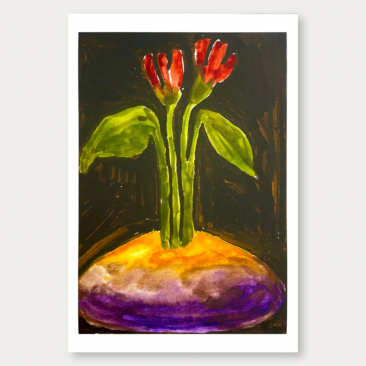Tulip Friends