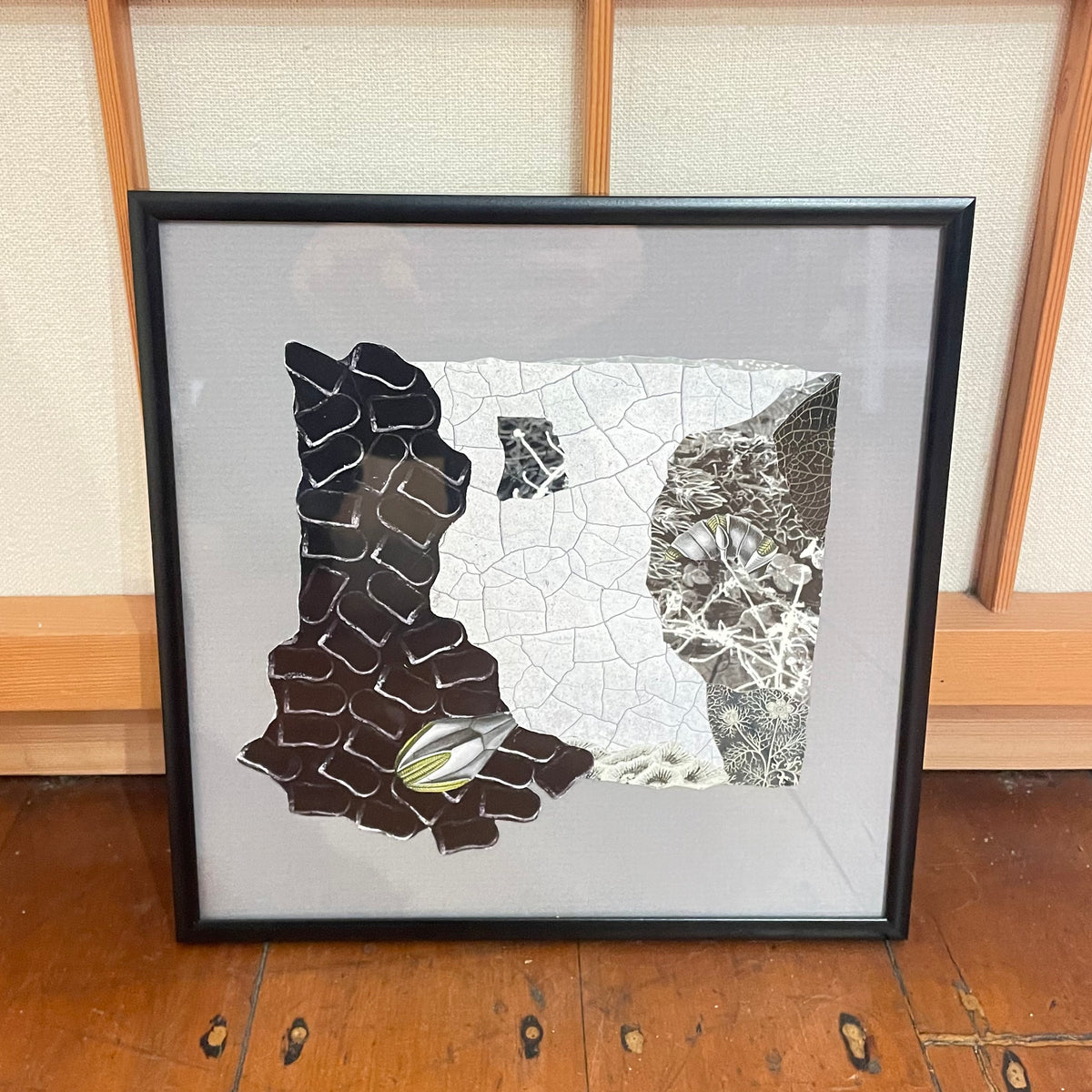 Fragmented Nature