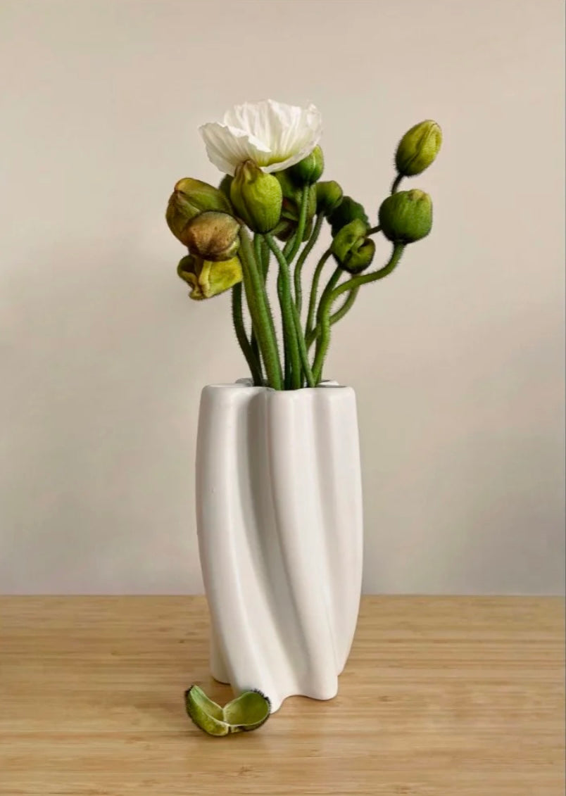 Poppy Still Life #1