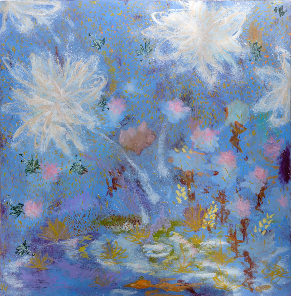 Nymphaea