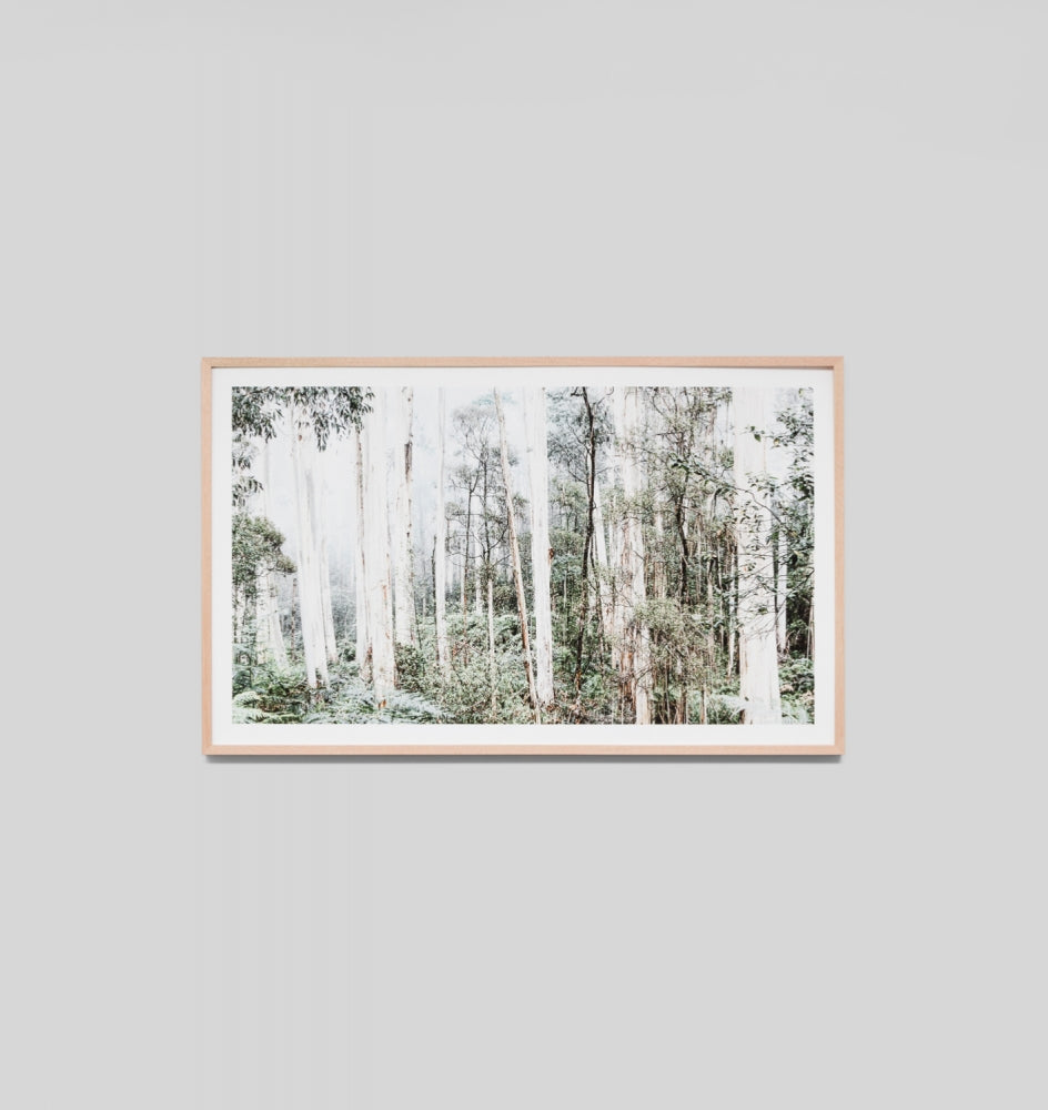 Bush Land – Great Frames