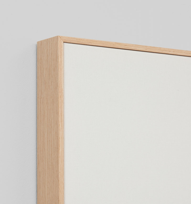 Delicate Outline Framed Canvas