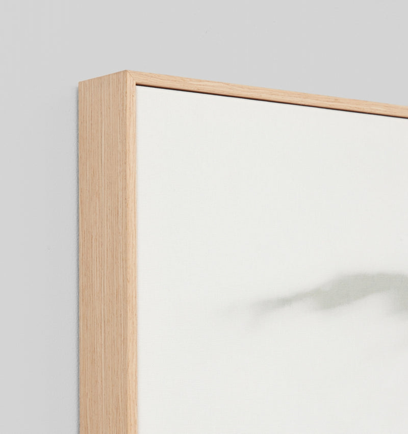 Shaded Wall Framed Canvas