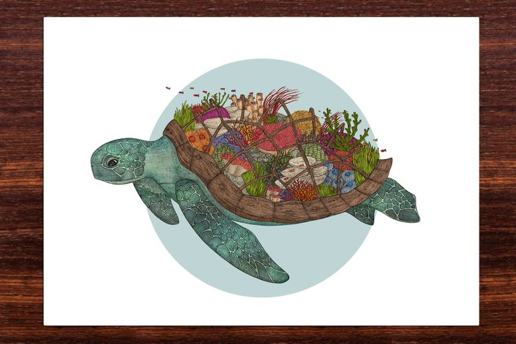 The Coral Reef Turtle